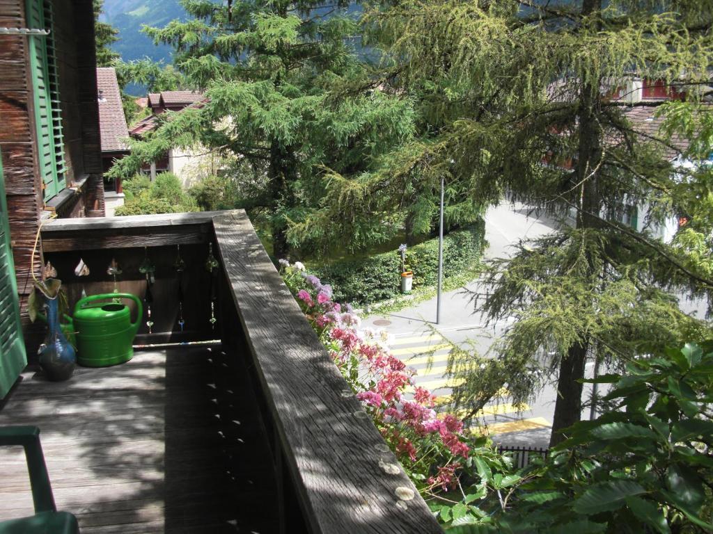 Apartments Dr. Med. Vet. Tempelman Interlaken Oda fotoğraf